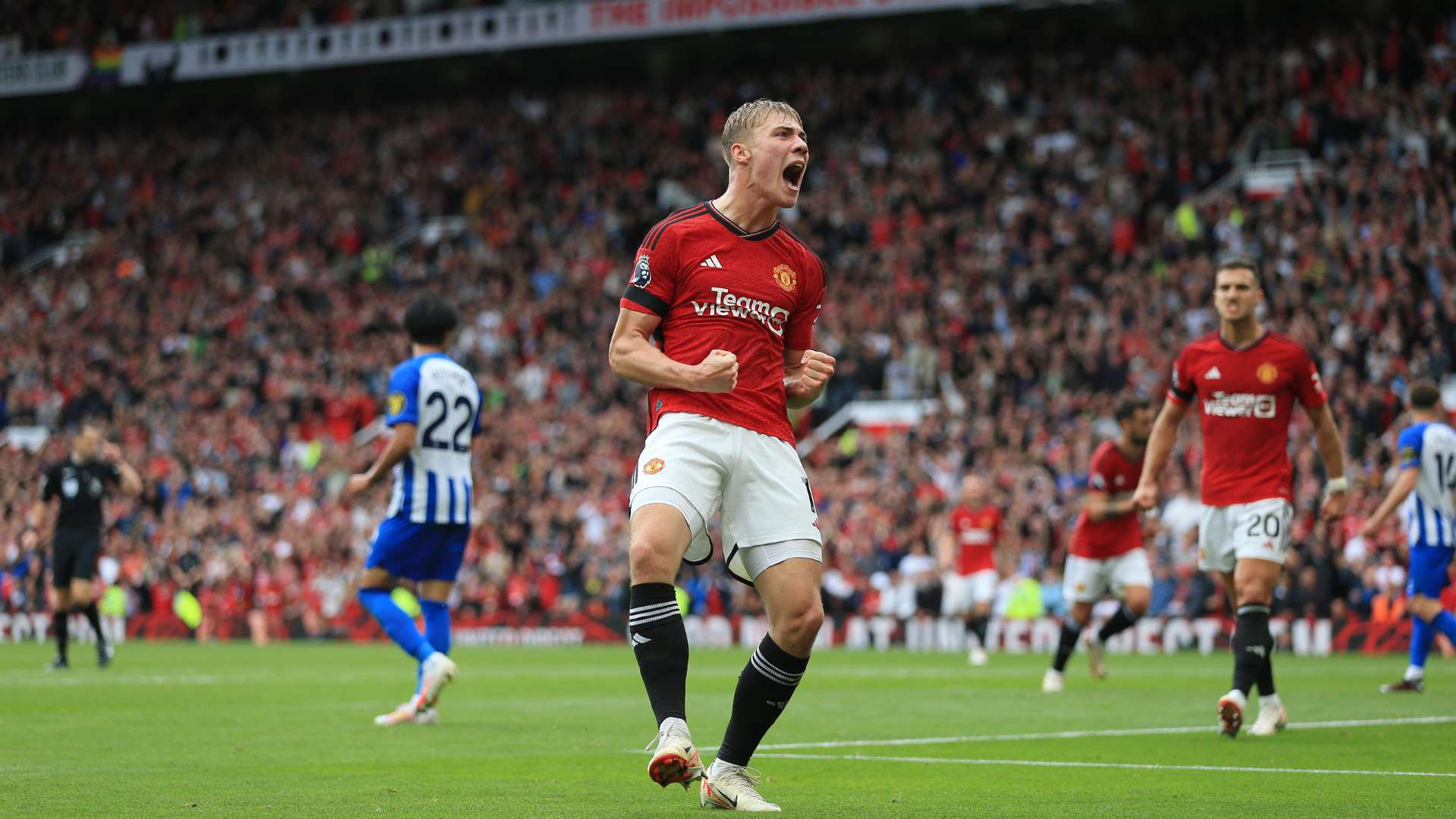 有研究表明 有研究表明